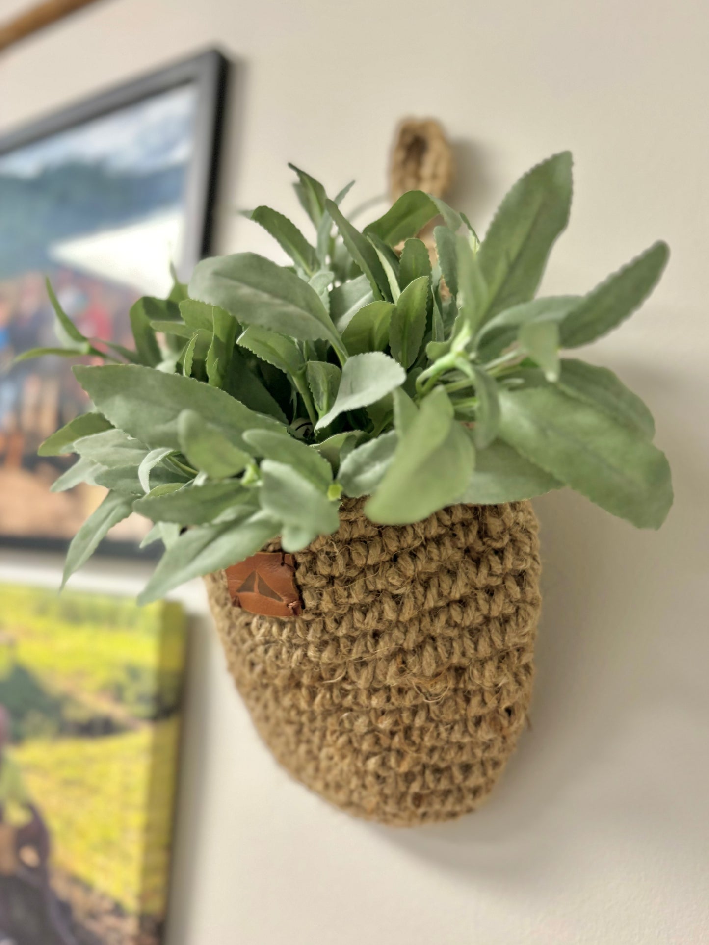 Woven Hanging Basket